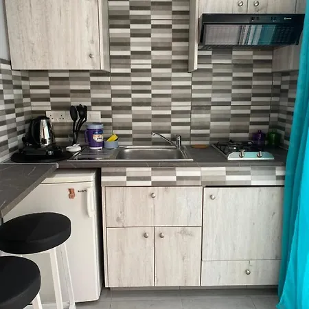 公寓 Renovated Ground Studio In Center Of 圣纳帕